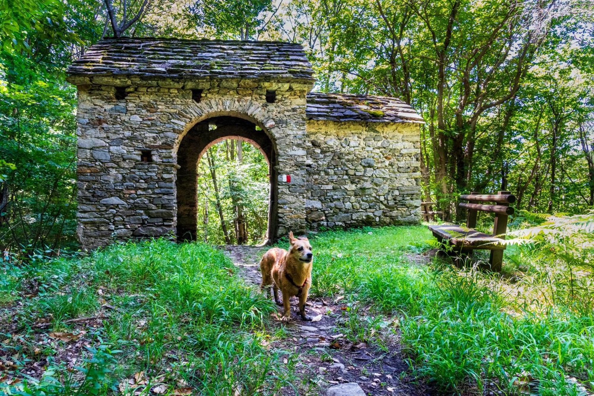 Casa Del Borgo "Aria & Acqua" Sul Lago Maggiore Maccagno Εξωτερικό φωτογραφία